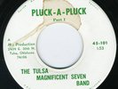tulsa magnificent seven band - pluck a pluck - rare wild tulsa funk 45 listen