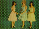  ORIGINAL FIRST PRESSING REPARATA & THE DELRONS RECORDED IN 1965 NM-