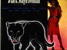 DLP Schallplatte Santana Black Magic Woman