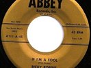 RICKY ROBINS If I'm A Fool 45 on ABBEY Rockabilly/Teen HEAR