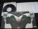 East of Eden New Leaf Japan Promo White Label Vinyl LP Gatefold Dave Arbus WHO