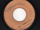 Crystalites - The Undertaker - blank (Crystal) 7