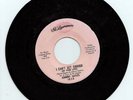 JOHNNY SAYLES I Can't Get Enough US 7