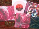 VIBRAVOID 'WHAT COLOUR IS PINK' 7