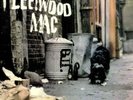 PETER GREEN'S FLEETWOOD MAC    LP