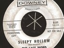 THE LAST WORD ? 60s GARAGE Sleepy Hollow DOWNEY 137 7