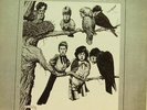 YARDBIRDS - MORE GOLDEN EGGS (ORIGINAL-TMQ Records 1974) VG+/VG++  RAR