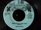 WYND CHYMES ' BABY YOU'RE THE ONE' RARE SOUL / FUNK 45