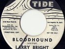 LARRY BRIGHT... Bloodhound/Way Down Home.... R&B/Rockabilly on Tide