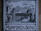 Mumford And Sons – Love Your Ground, RARE 2nd 10