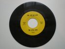 Hear 1967 GARAGE PUNK 45's THE LITTLE BITS 