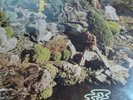 PARLIAMENT   OSMIUM   UNPLAYED/NM ORIG INVICTUS FUNK/PSYCH LP   GEORGE CLINTON