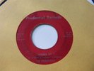 PRUDENTIALS on Prudential CRUDE TEEN GARAGE 45 HEAR