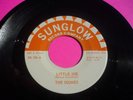 MINTY Local 45 -- The Sounds--Little Joe --San Antonio,Texas