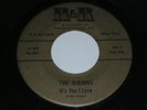 THE VISIONS its you I love RAREST TEXAS DOO WOP 45 listen