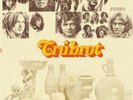TRUBROT ICELAND '69-Underground PSYCH LP BILLY NICHOLS SHADOKS OOP MINT SEALED