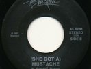 Private Hair Metal - BLACKOUT | (she got a) mustache | RARE | LISTEN