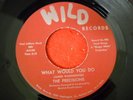 The Precisions What would you do 60s soul on Wild