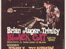 BRIAN AUGER and the TRINITY : BLACK CAT (IN ITALIANO)  - ( ONLY COVER )