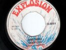SKINHEAD REGGAE / EXPLOSION / PAMA DICE - CHINEE BRUSH