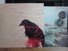 Death Cab for Cutie / Orig LP / Transatlanticism / Wilco Spoon Elliott Smith