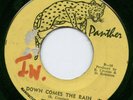 RARE REGGAE - PANTHER LBL - DOWN COMES THE RAIN - THE ROYALS listen ??