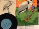 Edwyn Collins Home Again 7