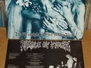 CRADLE OF FILTH The principle of evil LP 1994 DIMMU BORGIR DARKTHRONE MAYHEM VON