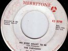 THE PARAGONS/SKINHEAD REGGAE/MERRITONE Orig JA 45/WE WERE MEANT TO BE