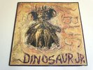 DINOSAUR JR-BUG-LP/RECORD/VINYL