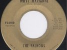 White Teen Doo Wop   THE FALKONS   Why? Marianne   HEAR