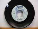 THE CHENTELLES  BE MY QUEEN // TIME FENTON MICHIGAN GARAGE BAND 1960'S RARE 45