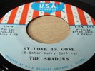 The Shadows- My Love Is Gone- U.S.A. hear