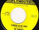 HEAR (Rockin') Ramrods-Flowers In My Mind '67 Boston acid-casualty tripsike WILD