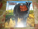 BLINK 182 DUDE RANCH CLEAR GREEN 1/500 SOLD OUT