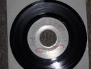 John Lee's Groundhogs I'll Never Fall In Love Again Rare Northern Soul 45