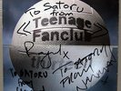 Autographed  Teenage Fanclub - Thirteen LP  
