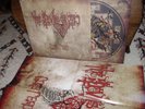 The Devil's Blood - Come, Reap mLP 1st Press + Poster Watain Black Widow Coven