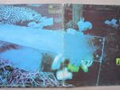FREE. TONS OF SOBS UK LP. 1st PRESS.1969. PAUL KOSSOFF.PAUL RODGERS.BLUES / ROCK