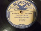 HACKBERRY RAMBLERS / BONNIE BLUE EYES / GREAT CAJUN BAND ON BLUEBIRD / NICE