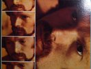 VAN MORRISON MOONDANCE ULTRA-RARE ORIGINAL '69 LP GREEN W-7 LABEL MINT 1st PRESS