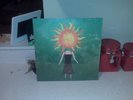 Balance and Composure Separation LP SUNFIRE/BLUE sealed tigers jaw la dispute