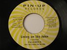 PALEMINA Living On Sky Juice PIN UP 7