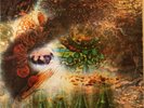 PINK FLOYD A SAUCERFUL OF SECRETS VINYL LP 1968 RARE MONO ORIGINAL VG CONDTN