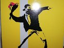 We Love You … So Love Us LP Banksy Clinic Bees I Am Kloot Skylab Shawn Lee etc