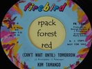 KIM TAMANGO - (Can't Wait Until) Tomorrow -  FIREBIRD  7