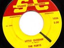PRIVATE 1965 MN Garage 45 - THE FURYS  