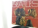 THE BEATLES AIN' T SHE SWEET  25 CM N° 45900 LES PERRUQUES