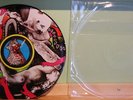 Yeah Yeah Yeahs Fever to Tell Pic Disc LP RARE