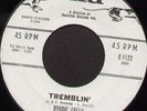 Rare 60's R&B - Popcorn - Northern Soul 45 - BYRDIE GREEN (End)